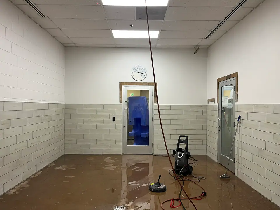 Built to be hosed down (Dog Daycare Tile, Littleton)